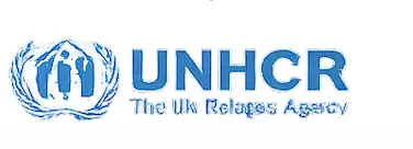 UN Badge