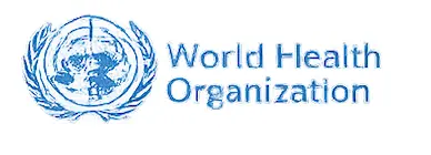 UN Badge